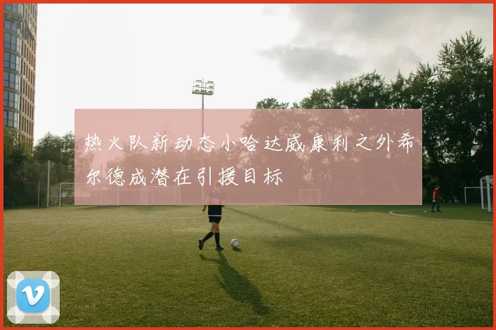 热火队新动态小哈达威康利之外希尔德成潜在引援目标